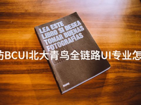 廊坊BCUI北大青鸟全链路UI专业怎么样