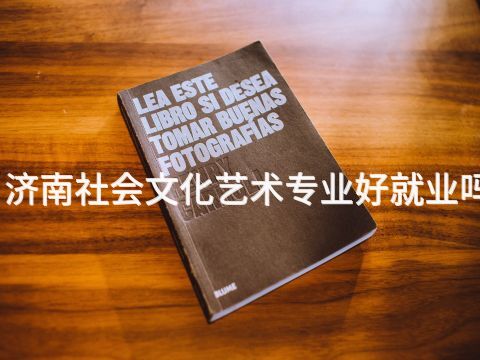 济南社会文化艺术专业好就业吗
