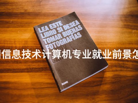 沧州信息技术计算机专业就业前景怎么样