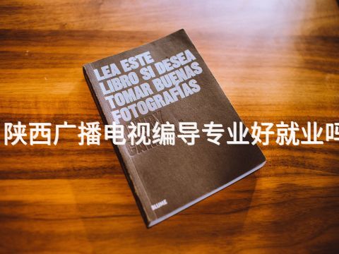陕西广播电视编导专业好就业吗
