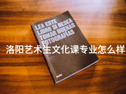 洛阳艺术生文化课专业怎么样