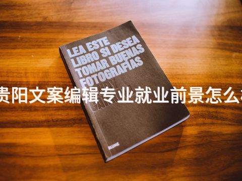 贵阳文案编辑专业就业前景怎么样