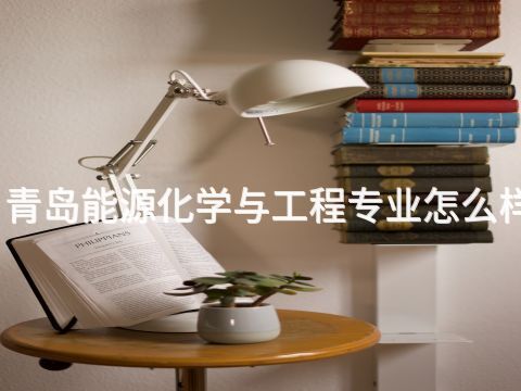 青島能源化學(xué)與工程專業(yè)怎么樣(圖1) 青島能源化學(xué)與工程專業(yè)怎么樣(圖1)