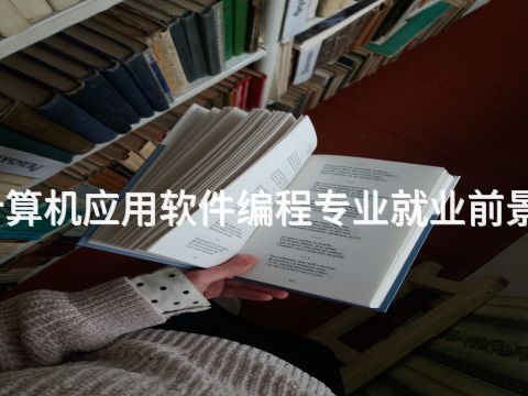 聊城计算机应用软件编程专业就业前景怎么样(图1)