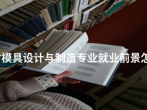 开封模具设计与制造专业就业前景怎么样(图1) 开封模具设计与制造专业就业前景怎么样(图1)