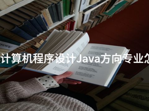 东营计算机程序设计Java方向专业怎么样