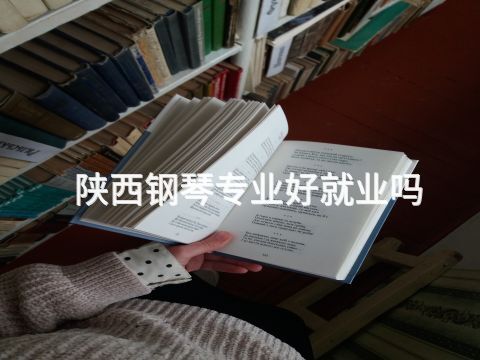 陕西钢琴专业好就业吗