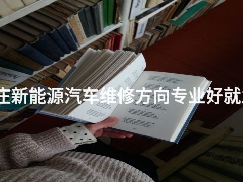枣庄新能源汽车维修方向专业好就业吗