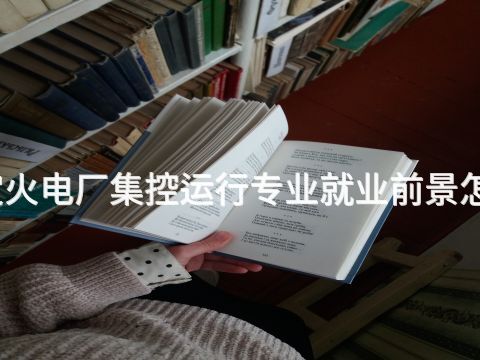 保定火电厂集控运行专业就业前景怎么样(图1) 保定火电厂集控运行专业就业前景怎么样(图1)