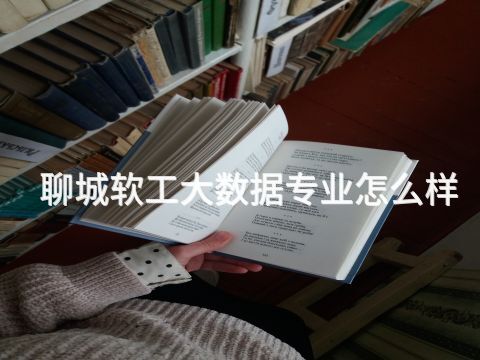 聊城软工大数据专业怎么样