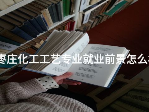 枣庄化工工艺专业就业前景怎么样