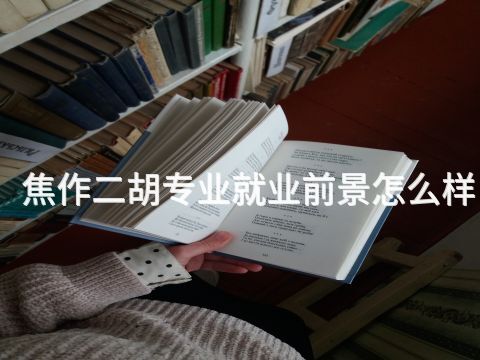焦作二胡专业就业前景怎么样