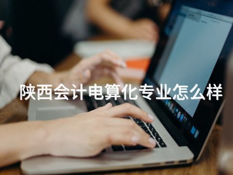 陕西会计电算化专业怎么样