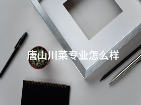 唐山川菜专业怎么样