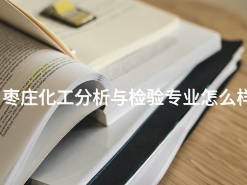 枣庄化工分析与检验专业怎么样
