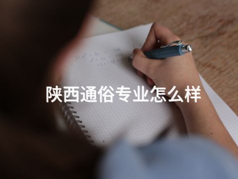 陕西通俗专业怎么样