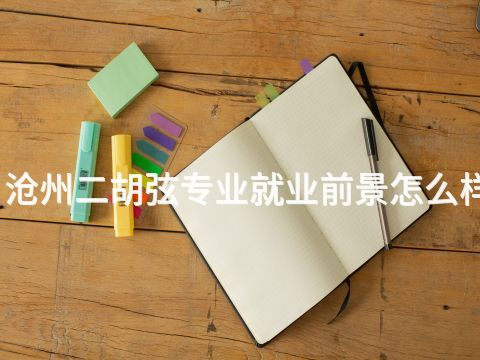 滄州二胡弦專業就業前景怎么樣