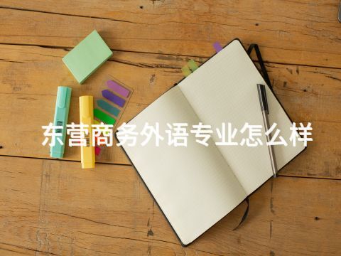 东营商务外语专业怎么样