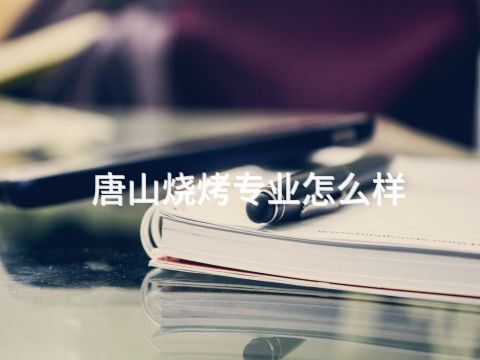 唐山烧烤专业怎么样