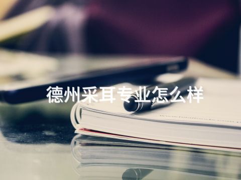 德州采耳专业怎么样