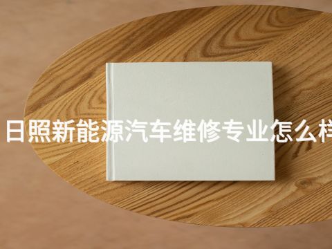 日照新能源汽车维修专业怎么样