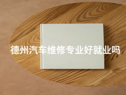 德州汽车维修专业好就业吗(图1)