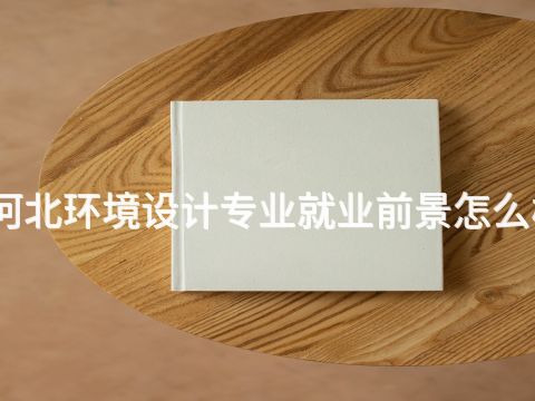 河北环境设计专业就业前景怎么样