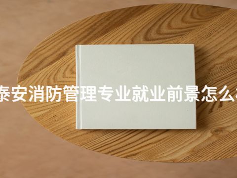 泰安消防管理专业就业前景怎么样(图1) 泰安消防管理专业就业前景怎么样(图1)