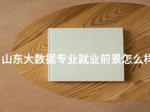 山东大数据专业就业前景怎么样(图1) 山东大数据专业就业前景怎么样(图1)