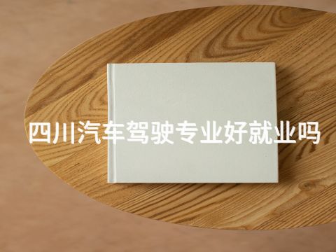 四川汽车驾驶专业好就业吗(图1) 四川汽车驾驶专业好就业吗(图1)