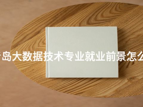 青岛大数据技术专业就业前景怎么样