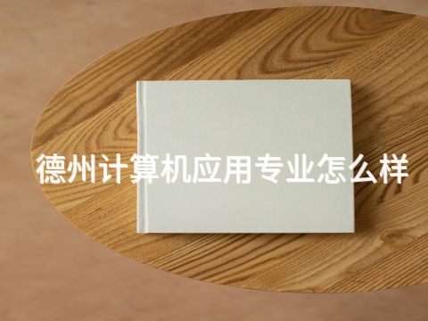 德州計算機應用專業怎么樣(圖1) 德州計算機應用專業怎么樣(圖1)