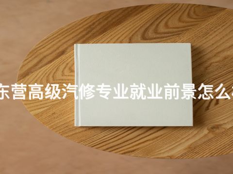 东营高级汽修专业就业前景怎么样(图1) 东营高级汽修专业就业前景怎么样(图1)