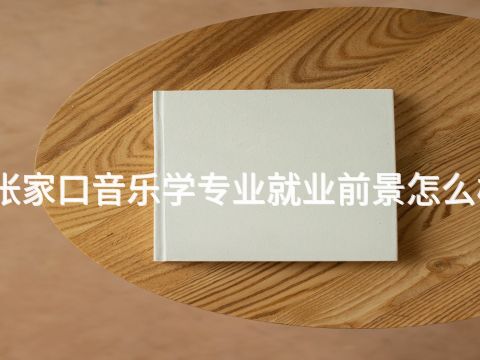 张家口音乐学专业就业前景怎么样