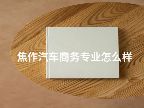 焦作汽车商务专业怎么样