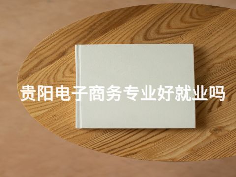 贵阳电子商务专业好就业吗