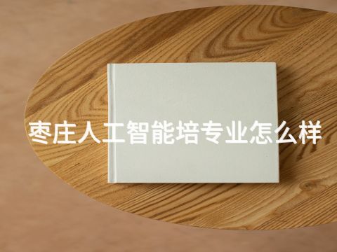 枣庄人工智能培专业怎么样