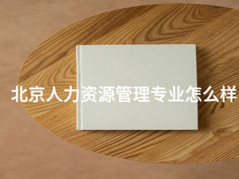 北京人力资源管理专业怎么样