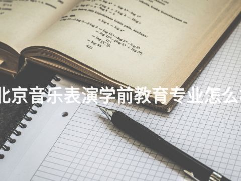 北京音乐表演学前教育专业怎么样