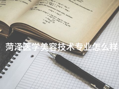 菏澤醫(yī)學美容技術專業(yè)怎么樣