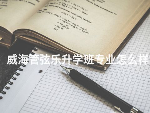 威海管弦乐升学班专业怎么样