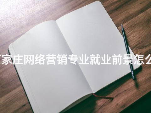 石家莊網(wǎng)絡(luò)營銷專業(yè)就業(yè)前景怎么樣