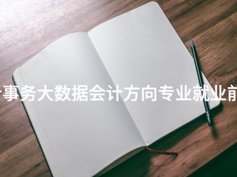 德州会计事务大数据会计方向专业就业前景怎么样