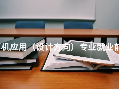 泰安计算机应用（设计方向）专业就业前景怎么样