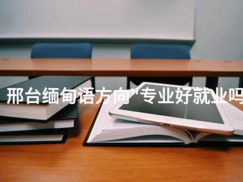 邢台缅甸语方向"专业好就业吗