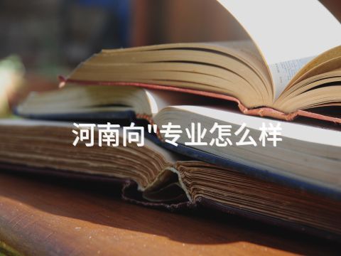 河南向"专业怎么样