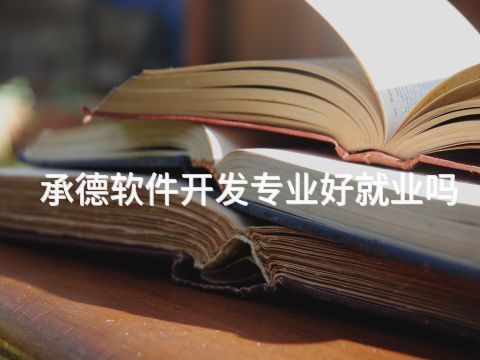 承德软件开发专业好就业吗
