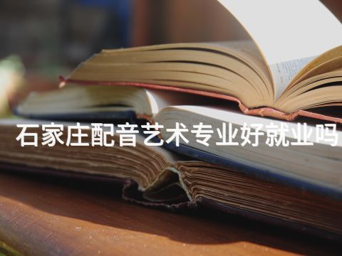 石家庄配音艺术专业好就业吗(图1) 石家庄配音艺术专业好就业吗(图1)
