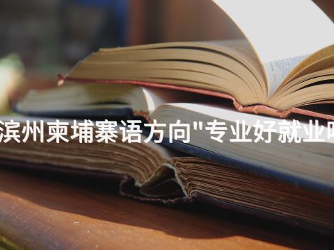 滨州柬埔寨语方向"专业好就业吗