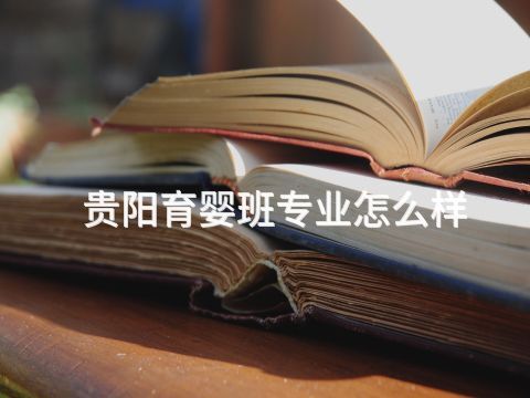 贵阳育婴班专业怎么样(图1) 贵阳育婴班专业怎么样(图1)